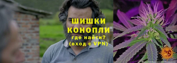 МДПВ Бронницы