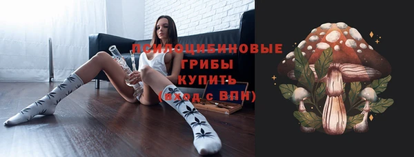 гидропоника Богородицк