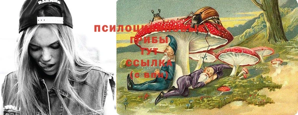прущий лед Бородино