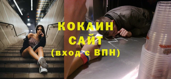 прущий лед Бородино