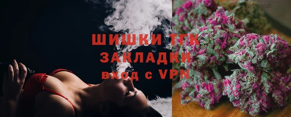 прущий лед Бородино