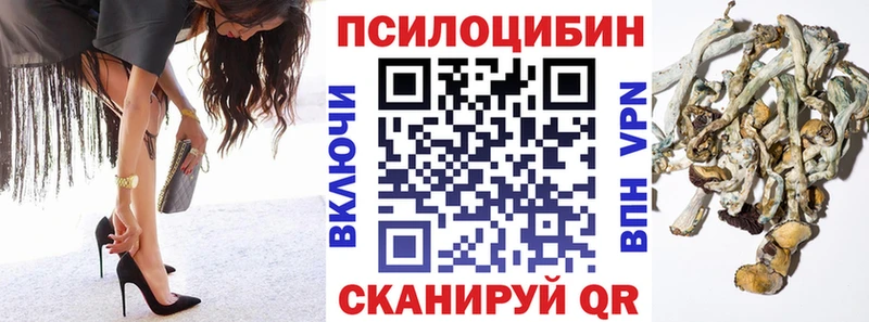 даркнет Telegram  закладка  Горнозаводск  Псилоцибиновые грибы GOLDEN TEACHER 